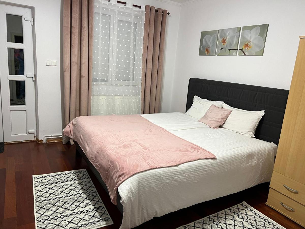 Casa Hoban Apartment Baia Mare Exterior photo